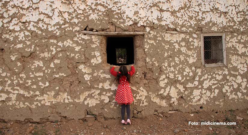 Learn about our motivation